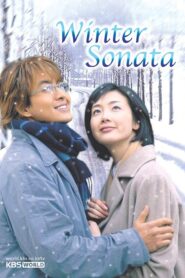 Winter Sonata 2002 on netflix