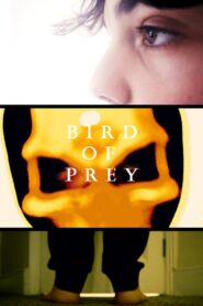 Bird Of Prey 2021 on netflix