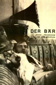 The Bear 1984 on netflix