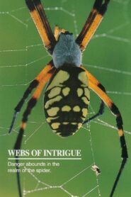 Webs of Intrigue 1992 on netflix