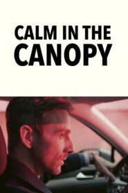 Calm in the Canopy 2024 on netflix