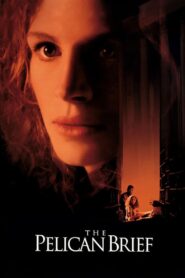 The Pelican Brief 1993 on netflix