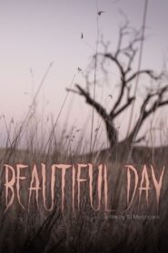 Beautiful Day 2020 on netflix