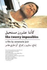 Like Twenty Impossibles 2003 on netflix