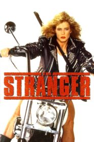 The Stranger 1995 on netflix