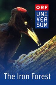 The Iron Forest 1998 on netflix