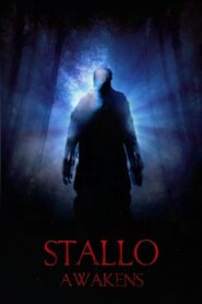 Stallo Awakens 2018 on netflix