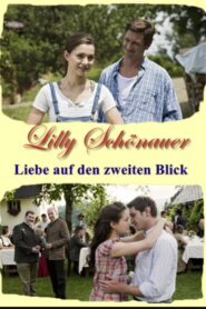 Love at Second Sight 2012 on netflix