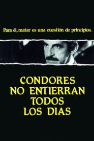 A Man of Principle 1984 on netflix