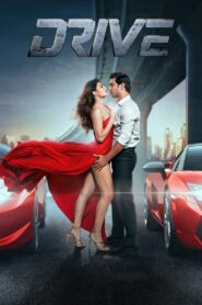Drive 2019 on netflix
