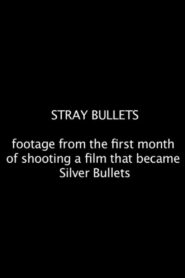 Stray Bullets 2012 on netflix