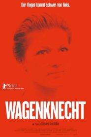 Wagenknecht 2020 on netflix