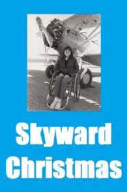 Skyward Christmas 1981 on netflix