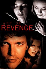Art of Revenge 2003 on netflix
