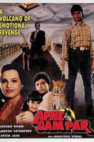 Apne Dam Par 1996 on netflix