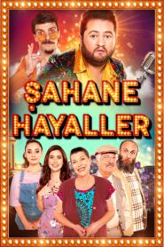 Şahane Hayaller 2020 on netflix
