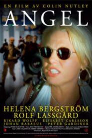 Angel 2008 on netflix