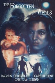 The Forgotten Wells 1994 on netflix