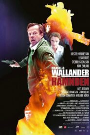 Wallander: The Revenge 2009 on netflix
