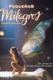 Little Miracles 1997 on netflix