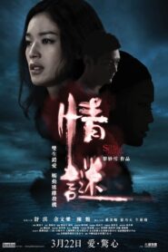 The Second Woman 2012 on netflix