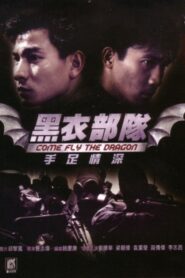 Come Fly the Dragon 1993 on netflix