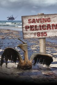 Saving Pelican 895 2011 on netflix