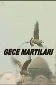 Gece Martıları 2000 on netflix