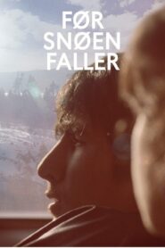 Before Snowfall 2013 on netflix