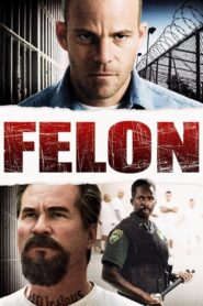 Felon 2008 on netflix