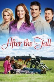 After the Fall 2010 on netflix
