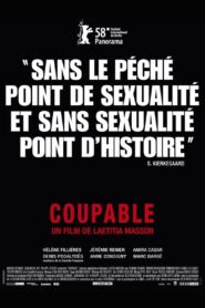 Coupable 2008 on netflix