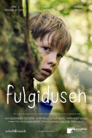Fulgidusen 2020 on netflix