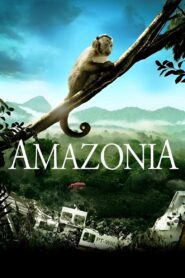 Amazonia 2013 on netflix