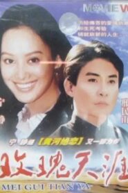 玫瑰天涯 1995 on netflix