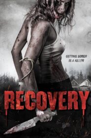 Recovery 2019 on netflix