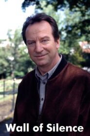 Wall of Silence 1993 on netflix