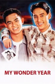 My Wonder Year 1993 on netflix