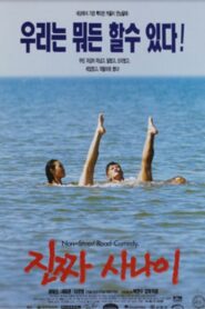 The Real Man 1996 on netflix