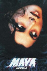 Maya Memsaab 1993 on netflix