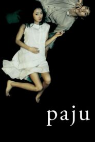 Paju 2009 on netflix