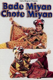 Bade Miyan Chote Miyan 1998 on netflix
