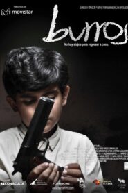 Burros 2011 on netflix