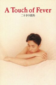 A Touch of Fever 1993 on netflix