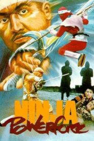 Ninja Powerforce 1988 on netflix