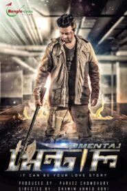 The Mental 2016 on netflix