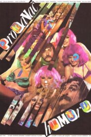 Prodavač humoru 1984 on netflix
