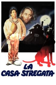 The Haunted House 1982 on netflix