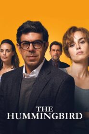 The Hummingbird 2022 on netflix