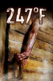 247°F 2011 on netflix